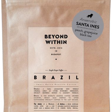 Santa Ines Anaerobic BRASIL specialty kávé